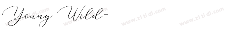 Young Wild字体转换